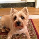 Edward Bittner - @EddieBitt - Twitter