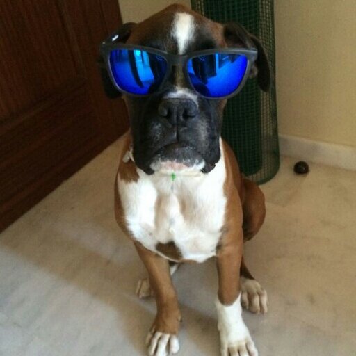 jbocanegra05's profile picture. Deportivamente acabado, profesionalmente deseando acabar (previa primitiva)