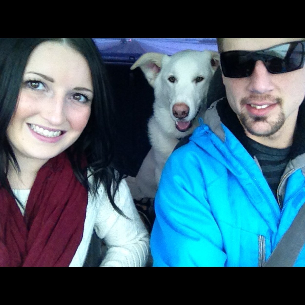 SarahCYEG's profile picture. Edmonton Lover. Wife. Dog mom.