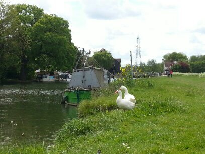 Oxford Boat Repair: Engines, Electrics, Heating, Plumbing. Steelwork and painting in the summer. Telephone 07766546645; Email enquiries@greenboatservices.co.uk.