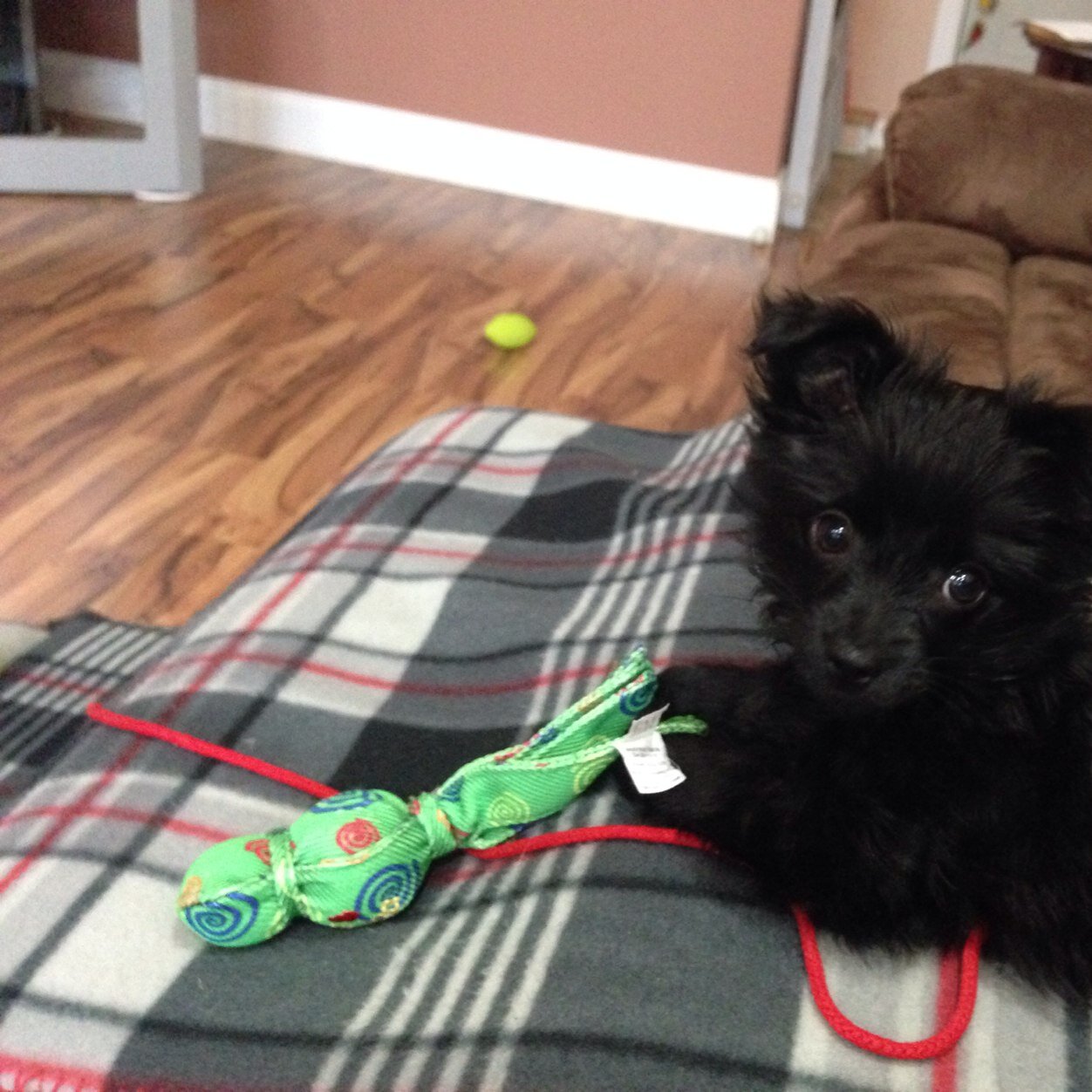 skript124's profile picture. 