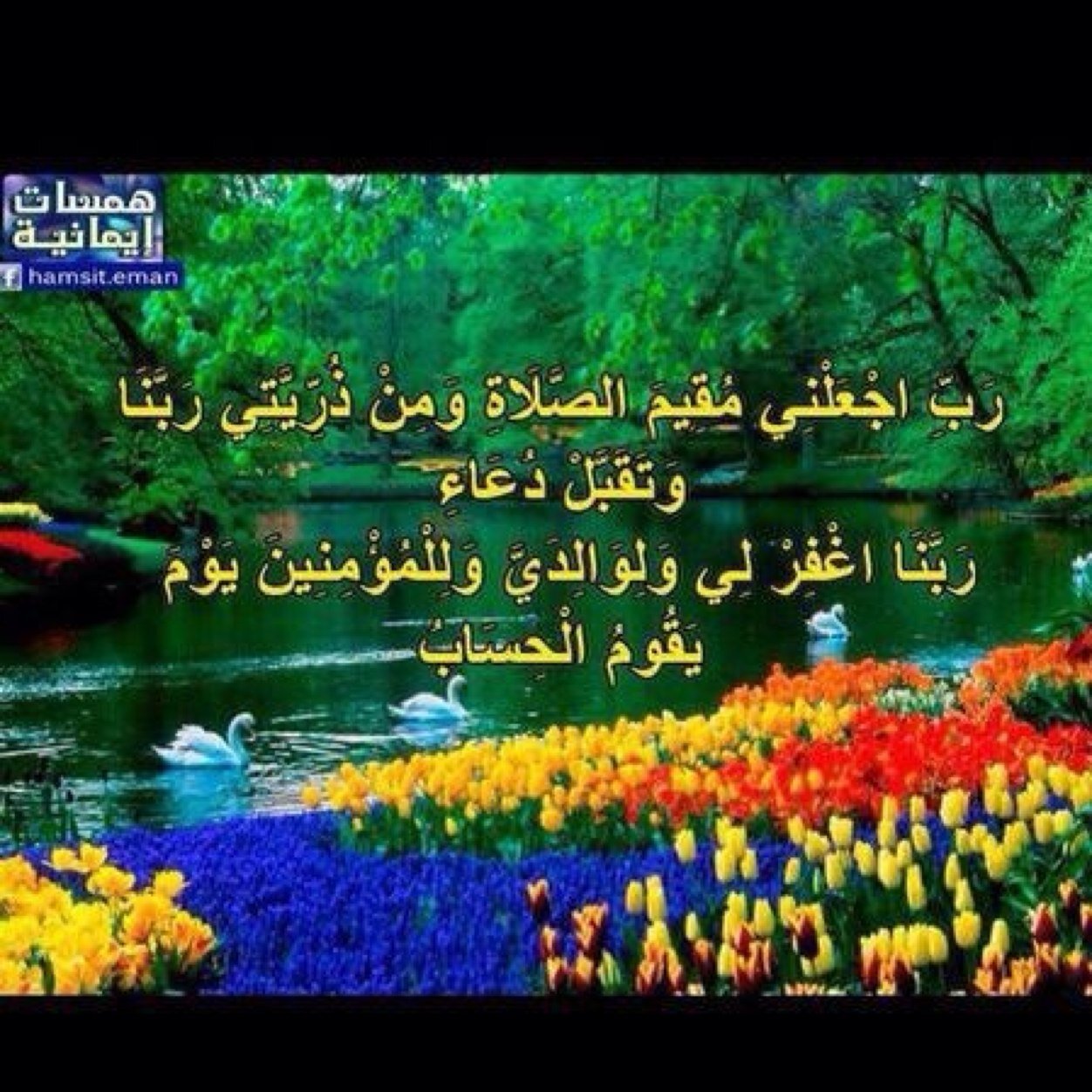 رباهـْ ،، اني اسئلك حسن الحياه وحسن الرحيل ، سبحان الله ، الحمدلله ، لا اله الا الله ، الله اكبر ..❤..
