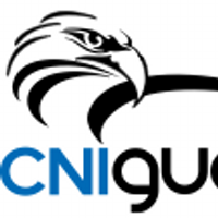 CNIguard(@cniguard) 's Twitter Profile Photo