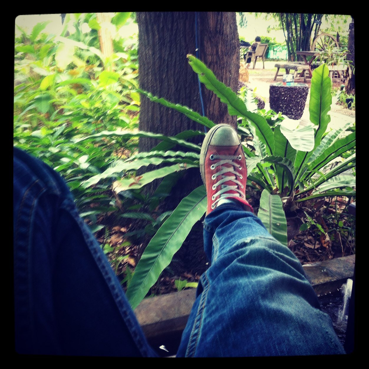 IIssarapong's profile picture. 