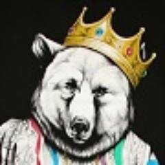 TeddoNL's profile picture. 