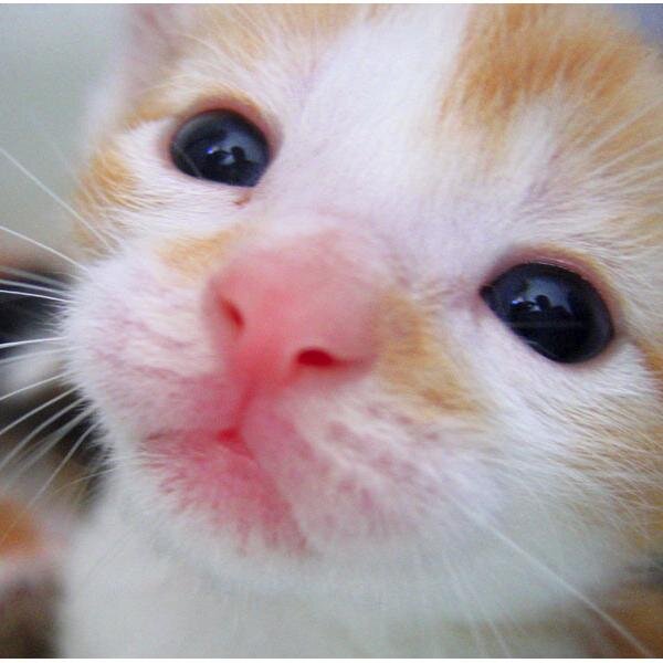 yu_tokyo_japan's profile picture. From Tokyo Japan (^-^*)/
#ASOT #TranceFamily