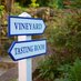 Zephaniah Vineyard (@zephaniahwine) Twitter profile photo