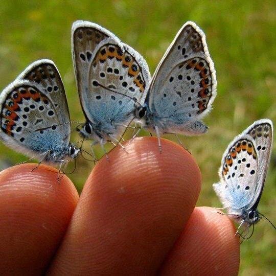 matrushka8's profile picture. 