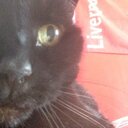 Alex kirkpatrick - @kirkpatrickAlo - Twitter