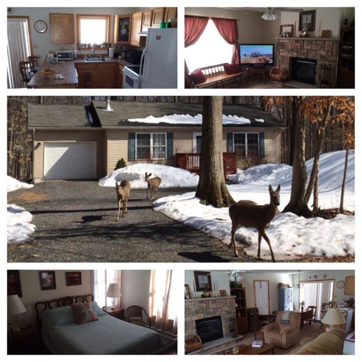 Beautiful two bedroom rancher in Locust Lake Village. Close to lakes and attractions. Info poconorental@flaminharry.com