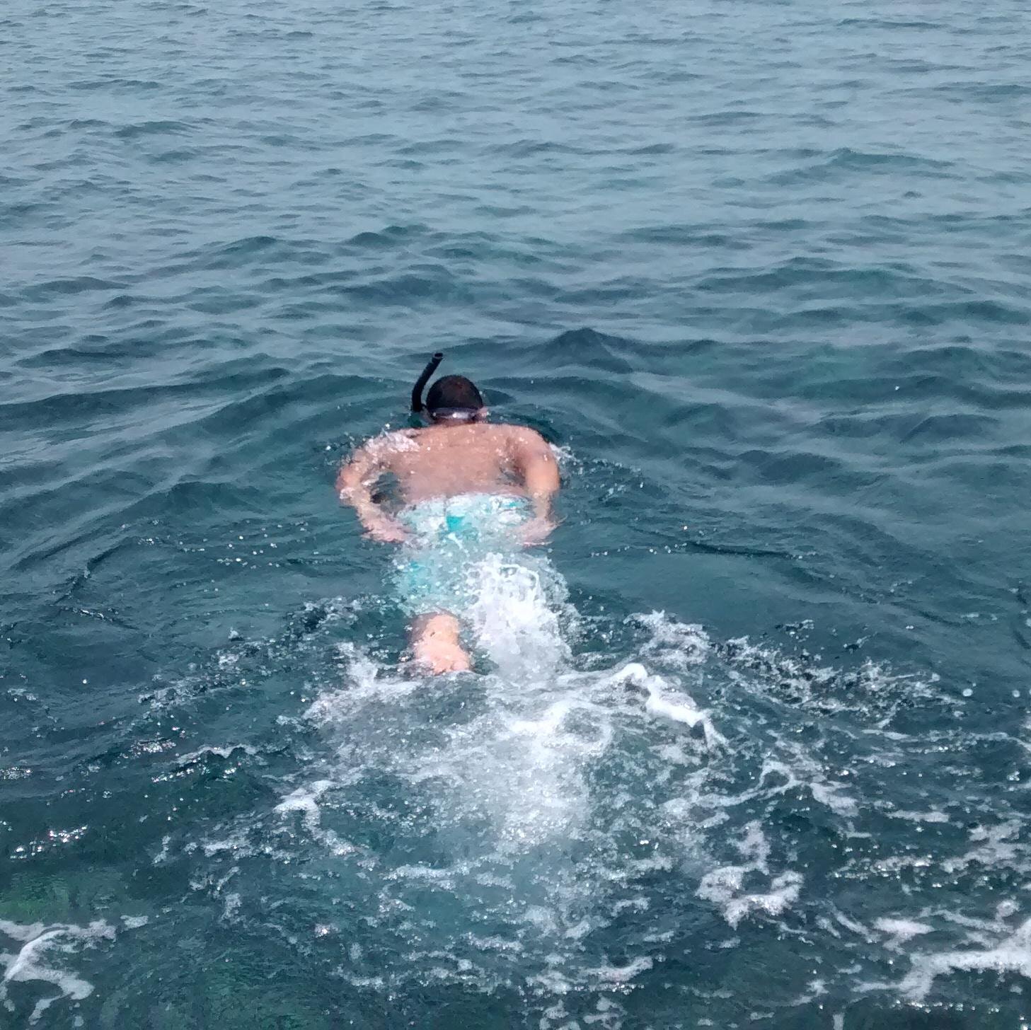 Mierjisa's profile picture. Odontólogo Ortodoncista