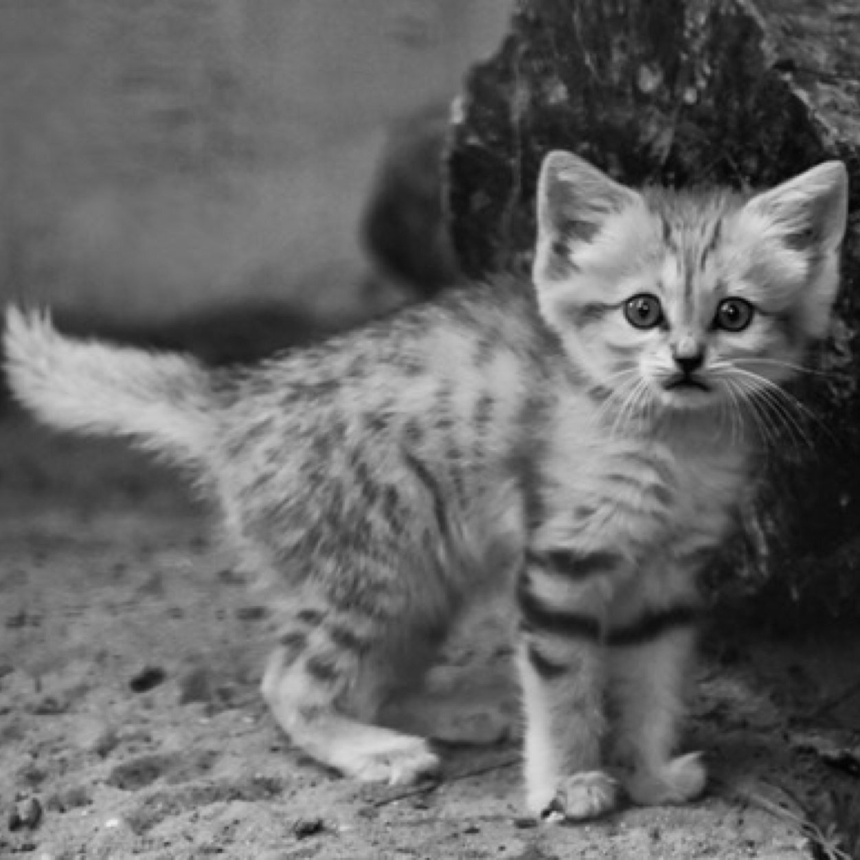 fuck69bitches's profile picture. BauHm