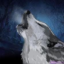 Wolfpack enthusiast 4life