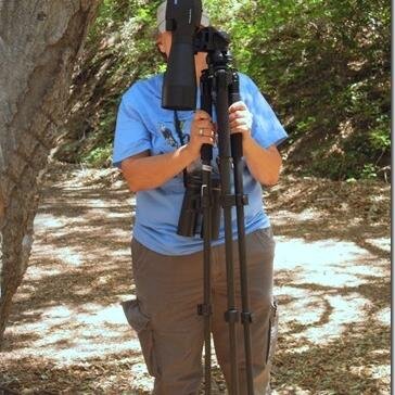 Cat lover, volunteer, quilter/crafter, bird watcher.