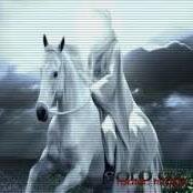 aemruni's profile picture. 