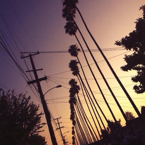 morgane_76's profile picture. 