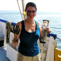 Silvia Newell (@newelllab) 's Twitter Profile