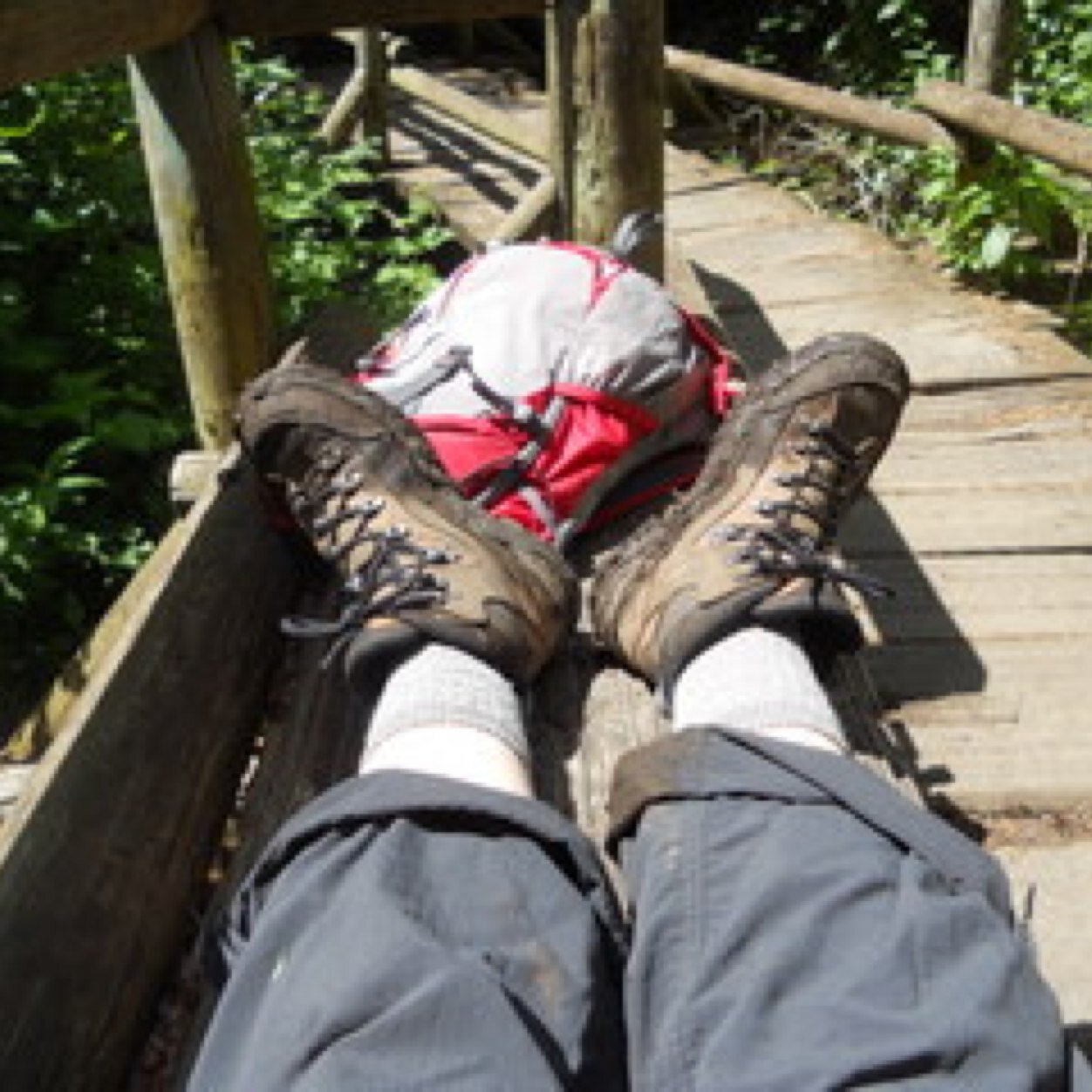 elnora_cxj's profile picture. 