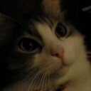 Donna Asher - @dasher2581 - Twitter