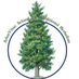 ArborVitae School (@arborvitaeny) Twitter profile photo ArborVitae School (@arborvitaeny) Twitter profile photo