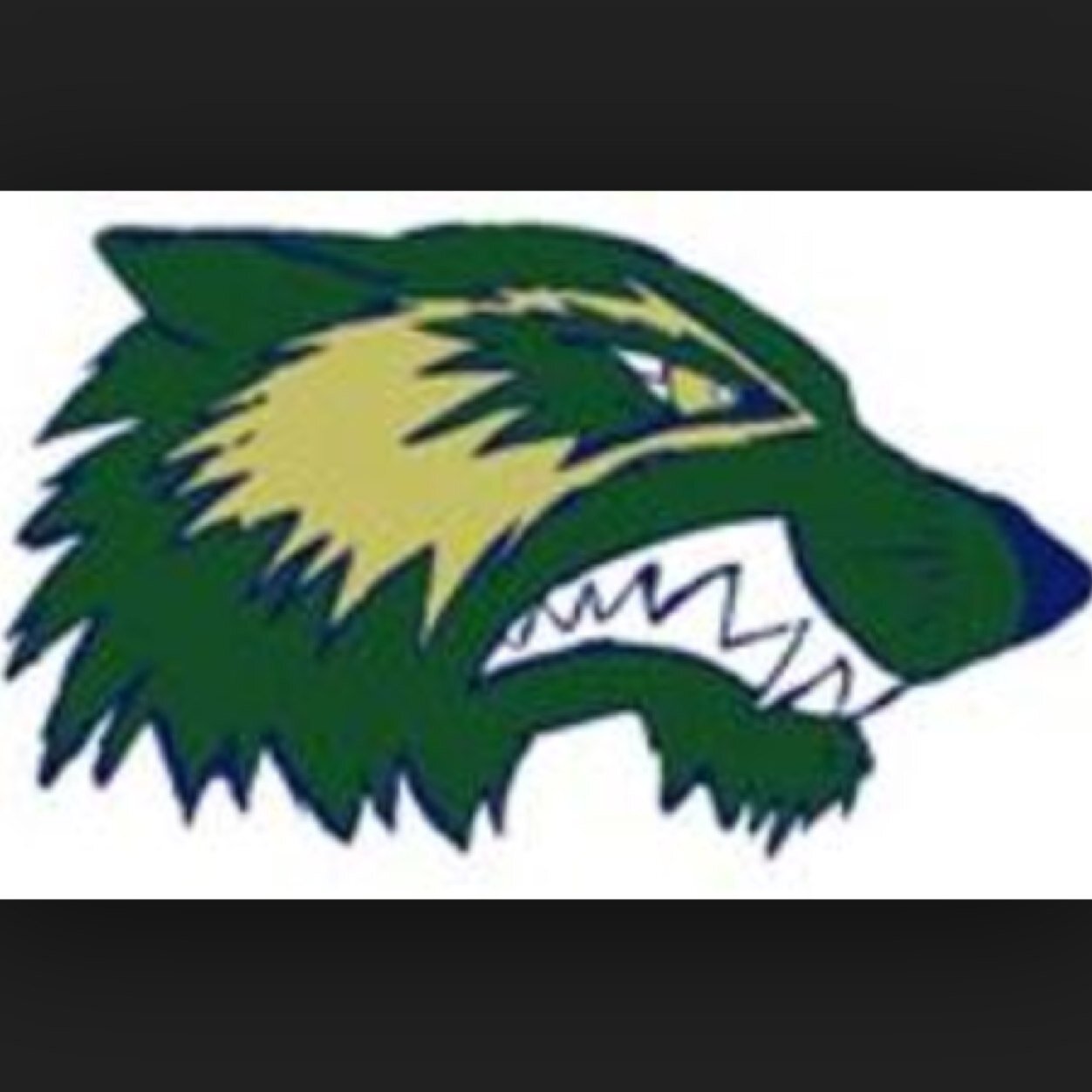 WFHSPack's profile picture. Welcome to the PACK