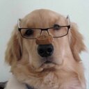 David Moll - @dmoll63 - Twitter