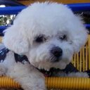 jeanne ruth - @jeanne_ruth - Twitter