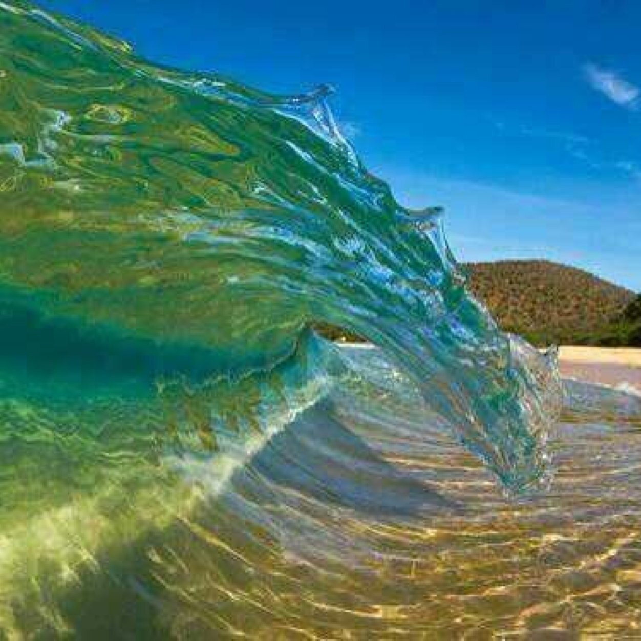 FleurDeRyan's profile picture. 