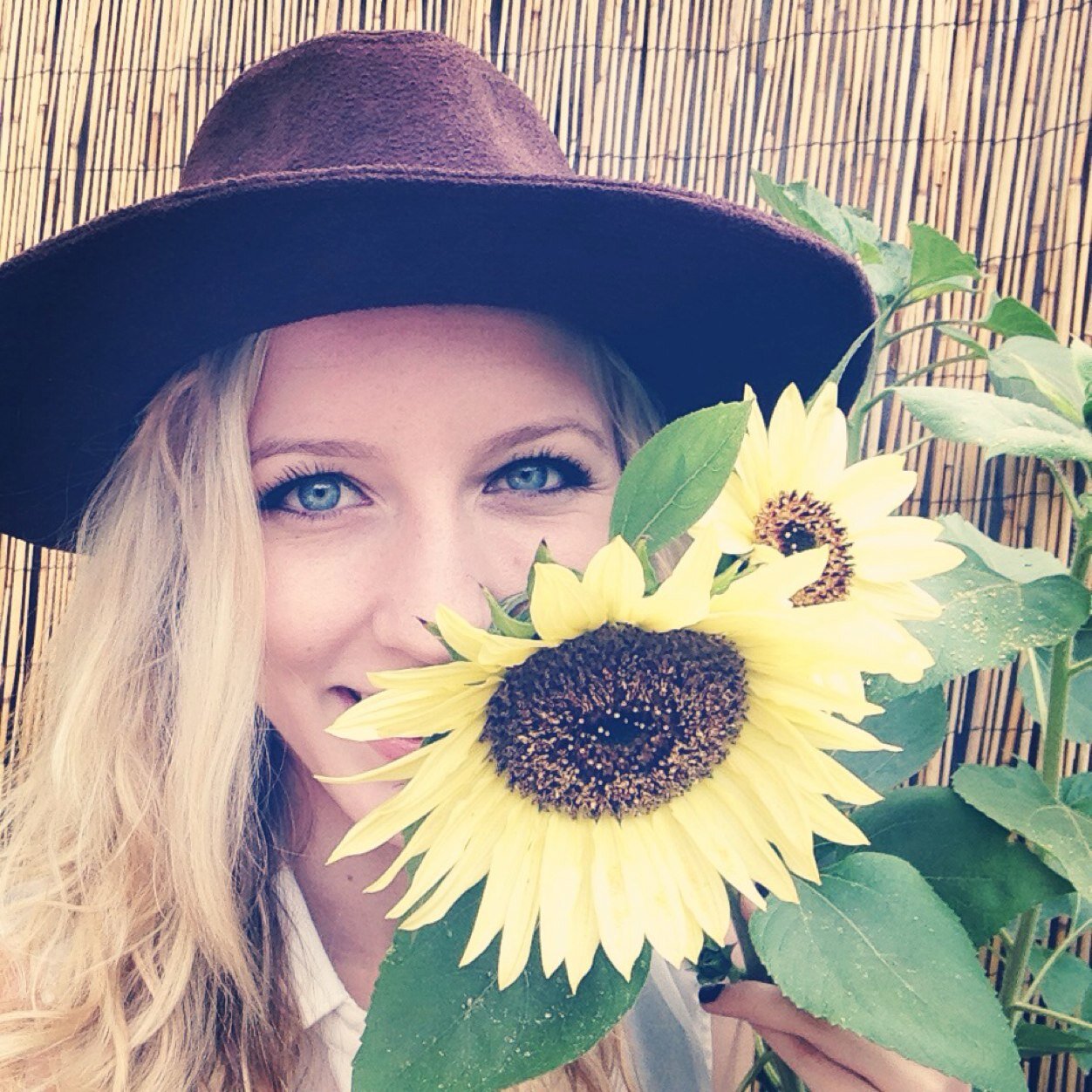 annie907's profile picture. i speak in stars✨