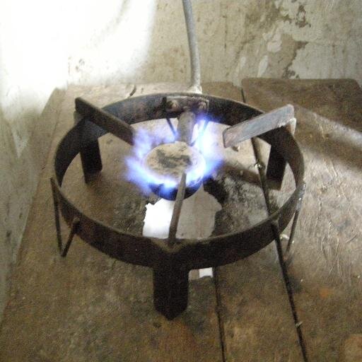 Promoting Bioenergy & tree planting to cool our planet