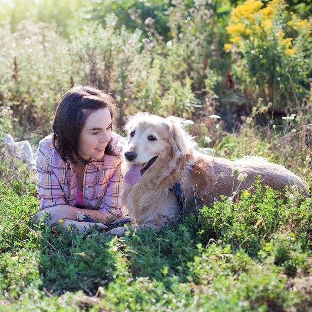 _happytails's profile picture. Burlington, Ontario, pet photographer owned by a ball-obsessed golden retriever and bossypants tuxedo cat.