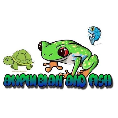 welcome to Amphibians and fish check out our new youtube channel at https://t.co/Ambggq8Q97