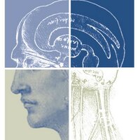 Neurosurgical Simulation and AI Learning Centre (@ai_simcentre) Twitter profile photo
