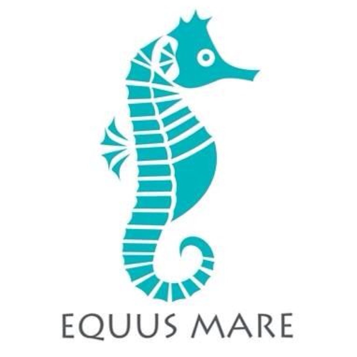 ¡Productos cosméticos 100% chilenos!
No testeamos en animales