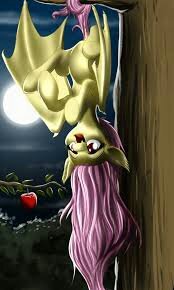 Hello There~ I'm Flutterbat hehe and I'm coming to get your blood and apples |#Single |#RP |#Sexy