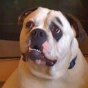 Margaret Whyte - @mw_whyte - Twitter