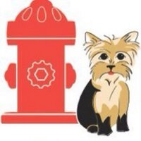 Puppy Pad Wizard (@puppypadwizard) 's Twitter Profile