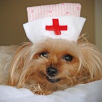BCU Nursing (@bcunursing) 's Twitter Profile