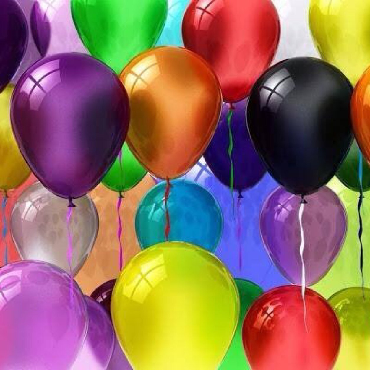 sandydehond's profile picture. ondernemend, gek op fashion en trends