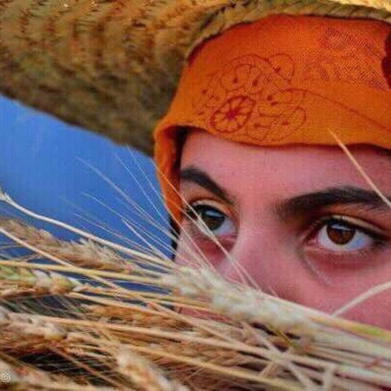 تعليمي ذاتي , وفخورة بنفسي 🌱
