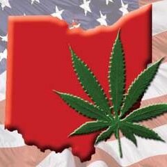 Spread Awareness! Ohio Medical Marijuana is on the Ballot in 2016 ! GO VOTE! Plans for a dispensary in Cincinnati Ohio are already in the works! #Support