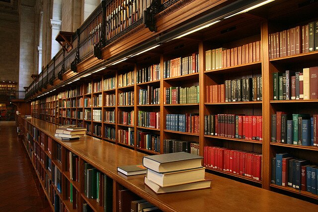 Opinions. Funny bits. Revision help. Musings for law students and graduates. To contribute contact-thelawdisciple@gmail.com