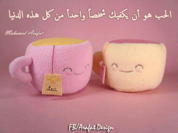 noorh11331's profile picture. 