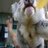nofonduesvp's profile image