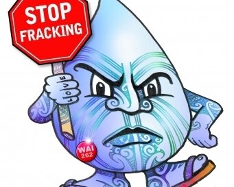 stopfracking8's profile picture. 