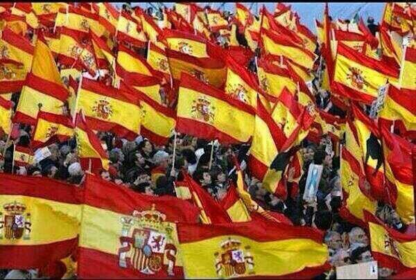 Español, madridista y forocochero