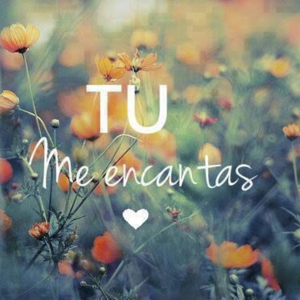 enamoratema26's profile picture. 