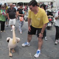 Steven Russie (@russies) Twitter profile photo