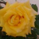 Beatriz Siqueira - @Beatriz67605476 - Twitter