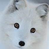 xXProblemFXx's profile picture. Ello people